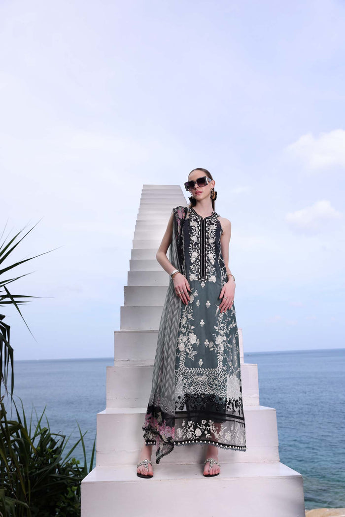 D-2B NOOR Luxe Printkari Lawn Collection