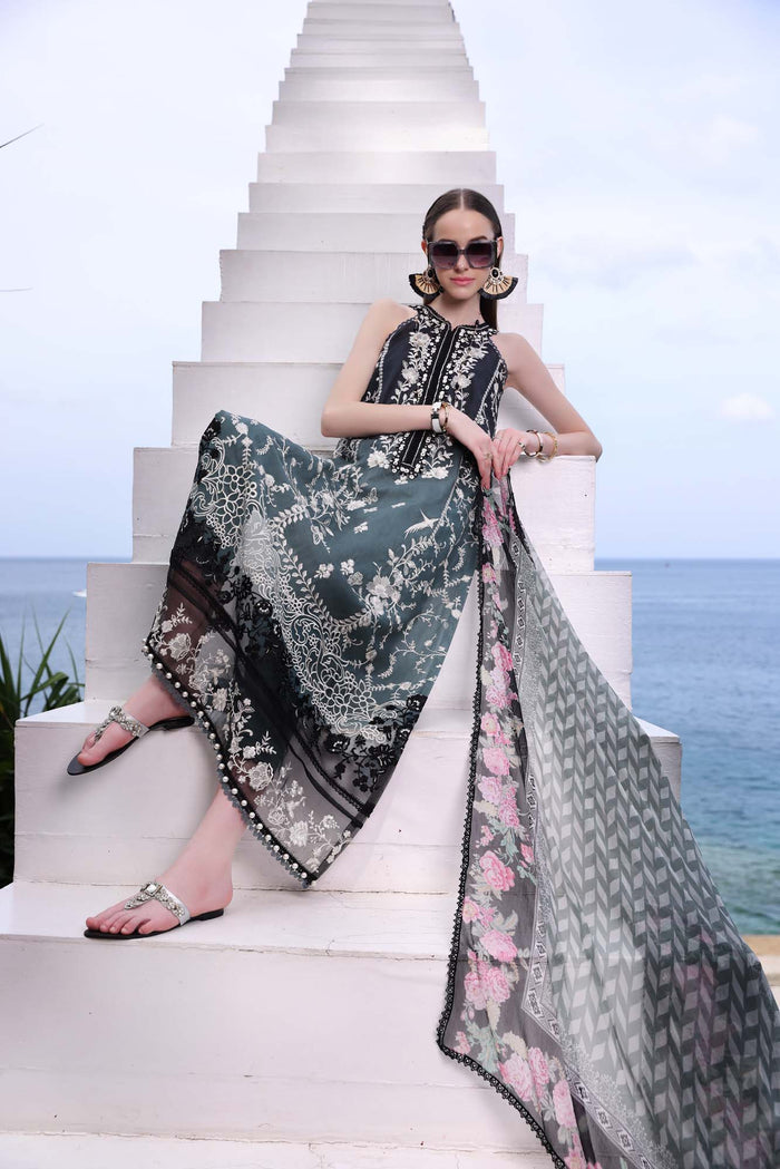 D-2B NOOR Luxe Printkari Lawn Collection